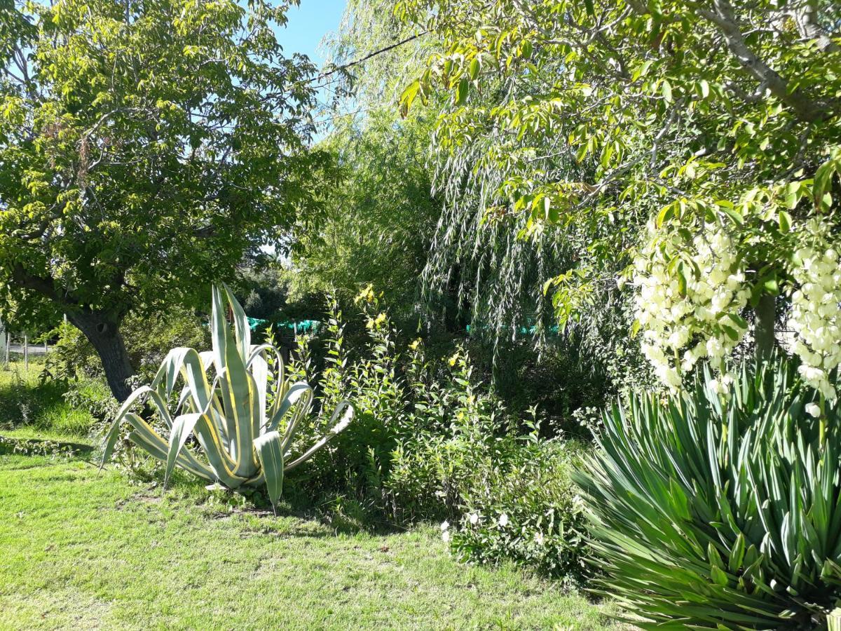 Casa De Campo Las Olivas San Rafael  Exterior photo